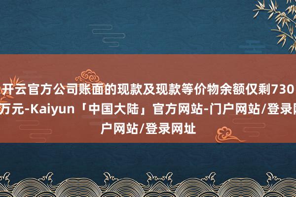 开云官方公司账面的现款及现款等价物余额仅剩730.61万元-Kaiyun「中国大陆」官方网站-门户网站/登录网址