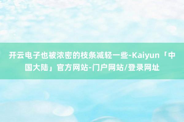 开云电子也被浓密的枝条减轻一些-Kaiyun「中国大陆」官方网站-门户网站/登录网址